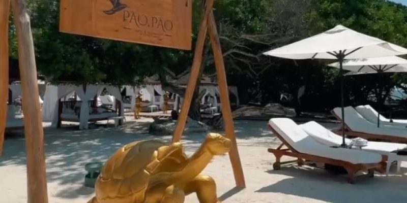 Imagen de WhatsApp 2025-05-26 a las 11.33.00_645bfda2