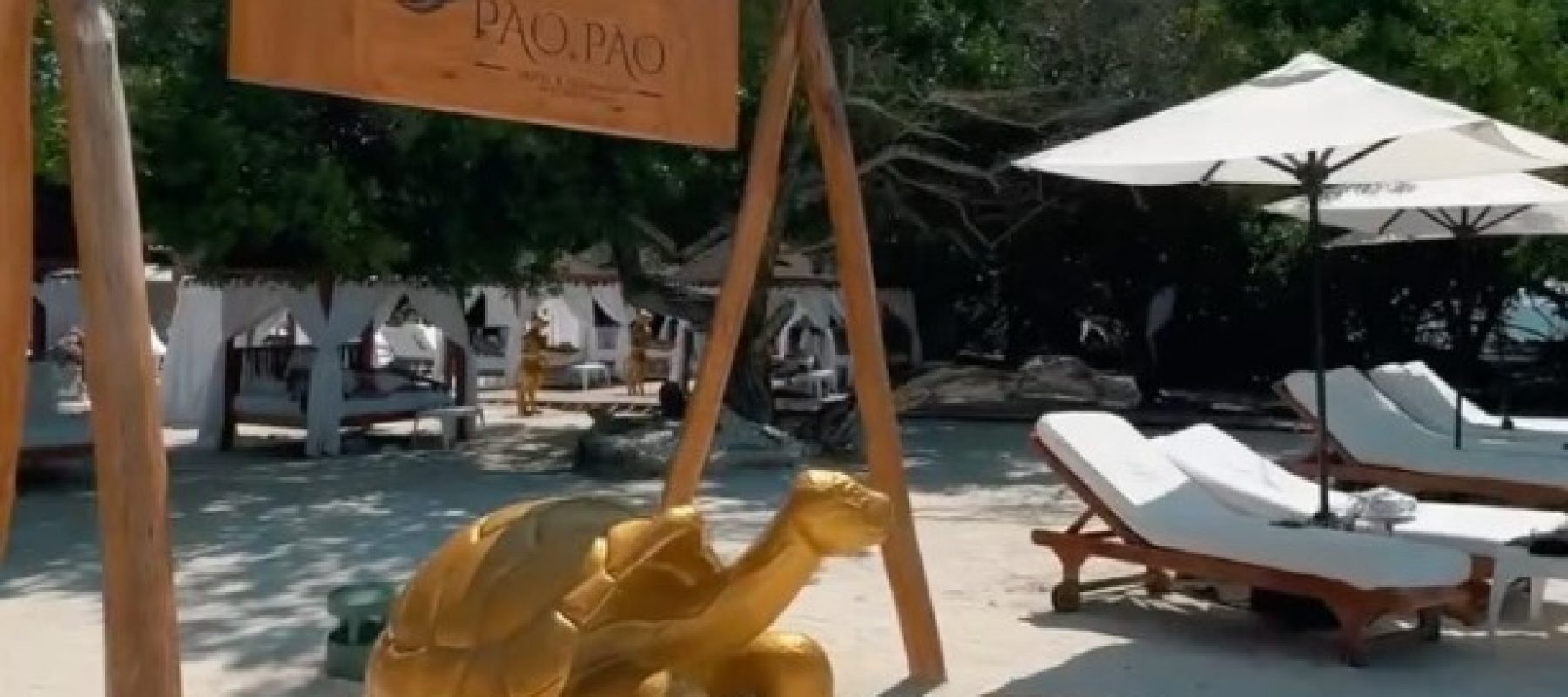 Imagen de WhatsApp 2025-05-26 a las 11.33.00_645bfda2