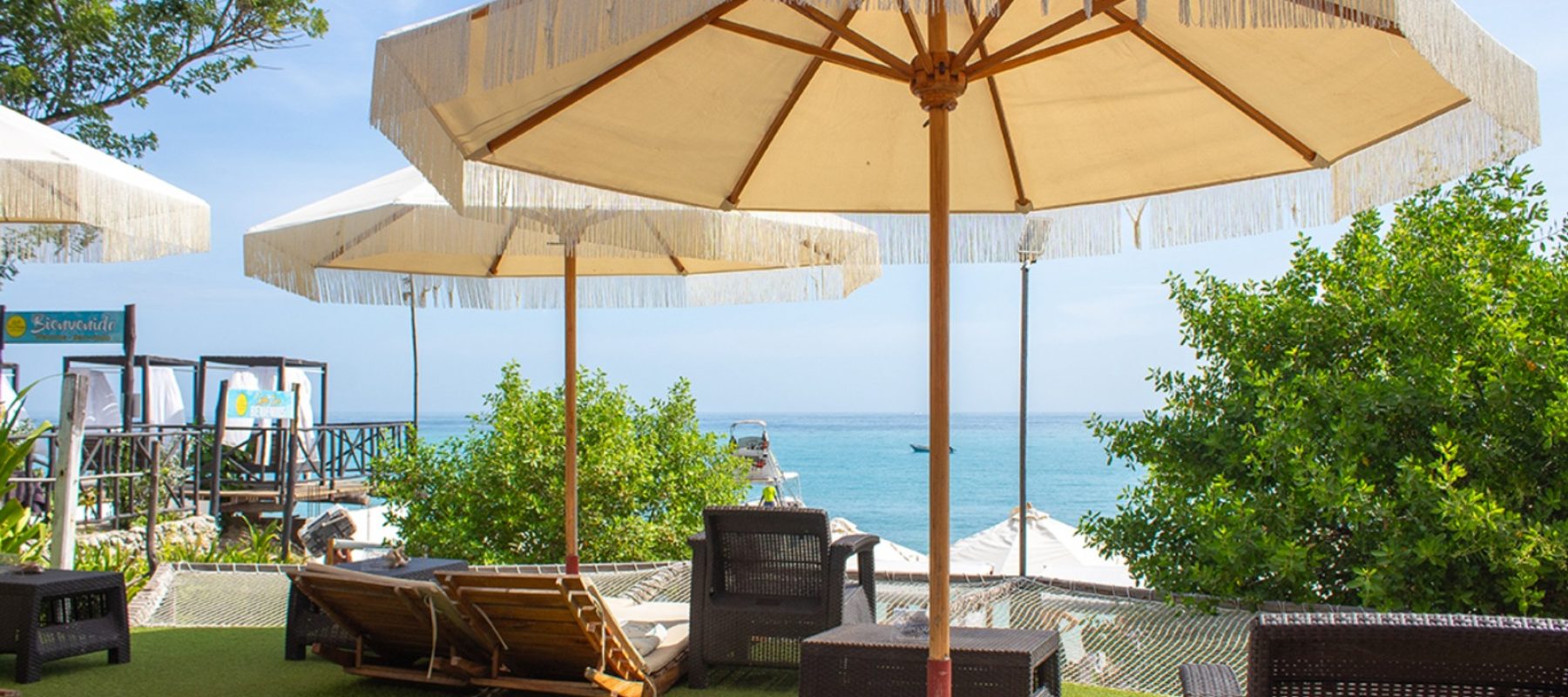 Imagen de WhatsApp 2025-05-26 a las 11.42.58_6602c8d5